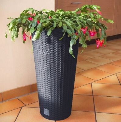 Кашпо для цветов Prosperplast Rato Low 64+35л, антрацит