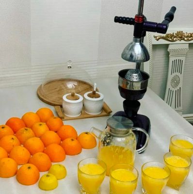 Механическая соковыжималка для гранатов и цитрусовых