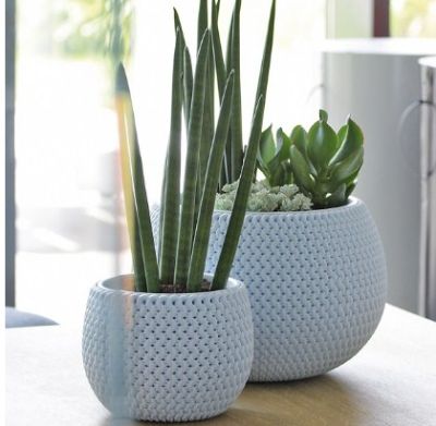 Кашпо для цветов Prosperplast Splofy Bowl 9л, голубой