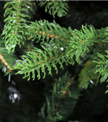 Елка искусственная Royal Christmas Auckland Premium PVC/PE 120см