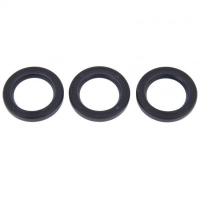 Комплект сальников KIT 02 (GUGO 01000) 3 шт.