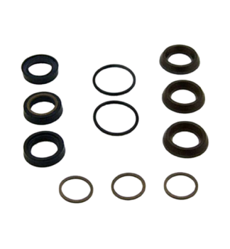 Комплект уплотнений Annovi Reverberi 42469