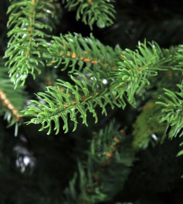 Елка искусственная Royal Christmas Auckland Premium PVC/PE 180см