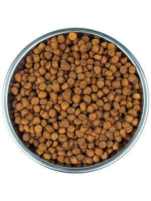 59907 корм из индейки для котят 1,75 кг