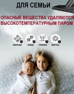 Пароочиститель minihome TSC-300